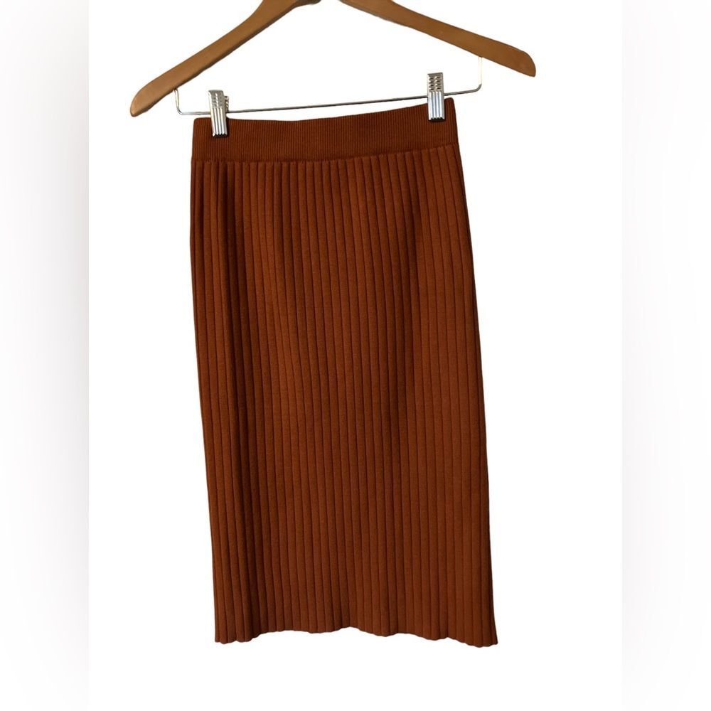 Kate Kasin Skirt New with Tags Size XS